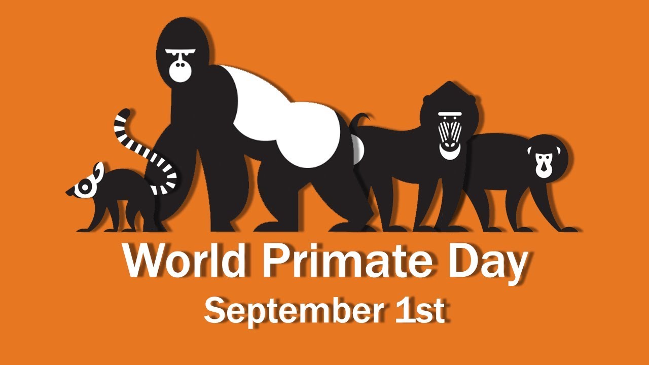 π International Primate Day