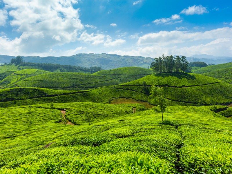 100+ GK Questions About Kerala Tourism